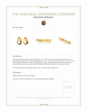 8.97 Ct.Tw.Total Carat Weight Citrine Pair from Ceylon (Sri Lanka) Appraisal
