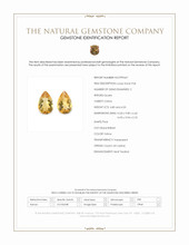 9.13 Ct.Tw.Total Carat Weight Citrine Pair from Ceylon (Sri Lanka) Scan Report