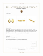 8.68 Ct.Tw.Total Carat Weight Citrine Pair from Ceylon (Sri Lanka) Appraisal