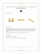 8.56 Ct.Tw.Total Carat Weight Yellow Citrine Pair from Ceylon (Sri Lanka) Appraisal