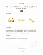 8.56 Ct.Tw.Total Carat Weight Citrine Pair from Ceylon (Sri Lanka) Appraisal