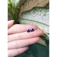 2.36&nbsp;Ct.Tw.Total Carat Weight Blue Sapphire Pair from Ceylon (Sri Lanka) Life Style