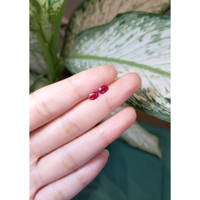 1.01 Ct.Tw.Total Carat Weight Ruby Pair from Mozambique Life Style