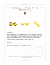 1.03 Ct.Tw.Total Carat Weight Yellow Sapphire Pair from Ceylon (Sri Lanka) Appraisal