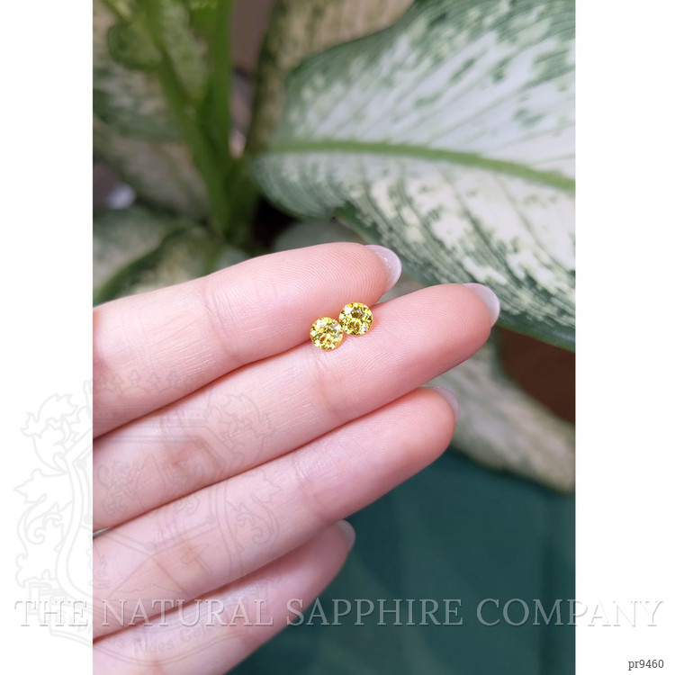 1.03 Ct.Tw. Yellow Sapphire Pair from Ceylon (Sri Lanka)