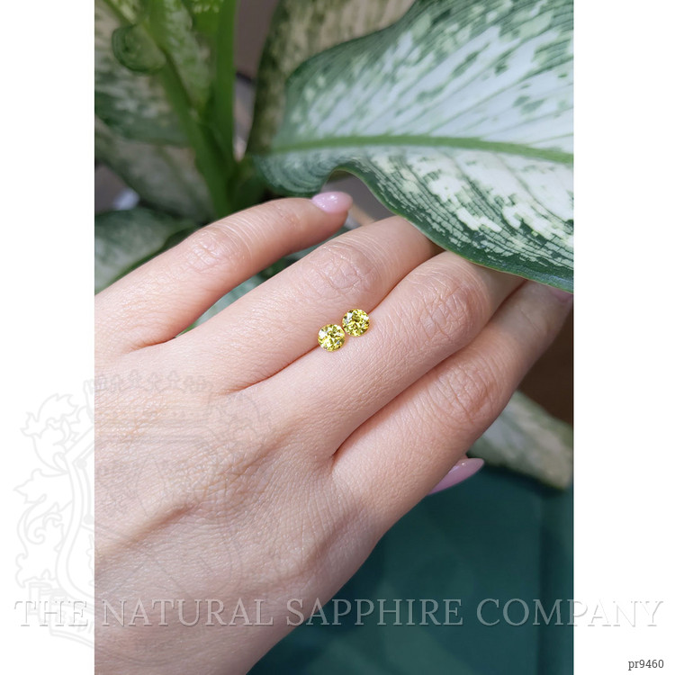1.03 Ct.Tw. Yellow Sapphire Pair from Ceylon (Sri Lanka)