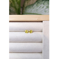 1.03&nbsp;Ct.Tw.Total Carat Weight Yellow Sapphire Pair from Ceylon (Sri Lanka) Life Style