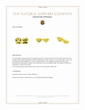 1.33&nbsp;Ct.Tw.Total Carat Weight Yellow Sapphire Pair from Ceylon (Sri Lanka) Appraisal