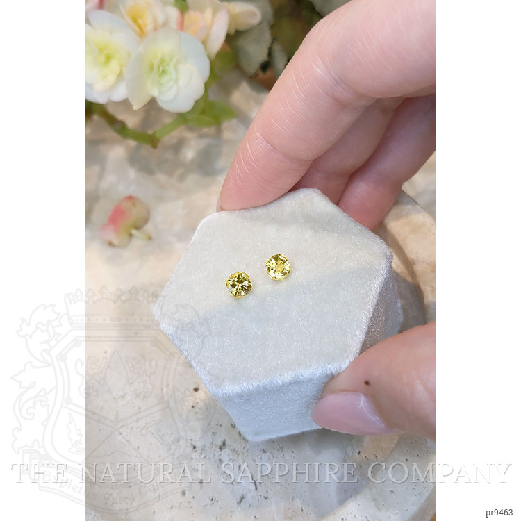 1.33 Ct.Tw. Yellow Sapphire Pair from Ceylon (Sri Lanka)