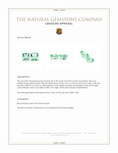 1.17 Ct.Tw.Total Carat Weight Beryl Pair from Afghanistan Appraisal