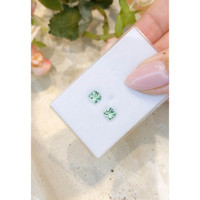 1.17 Ct.Tw.Total Carat Weight Beryl Pair from Afghanistan Life Style