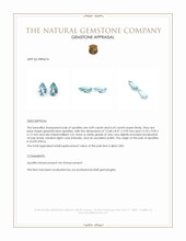 8.52 Ct.Tw.Total Carat Weight Apatite Pair from South Africa Appraisal