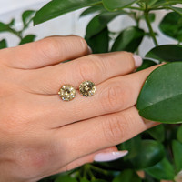 4.42 Ct.Tw.Total Carat Weight Zircon Pair from Tanzania Life Style