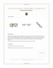 1.02 Ct.Tw.Total Carat Weight Yellowish Green Sapphire Pair from Montana Appraisal