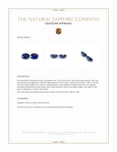 3.26 Ct.Tw.Total Carat Weight Blue Sapphire Pair from Ceylon (Sri Lanka) Appraisal