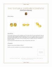 1.05&nbsp;Ct.Tw.Total Carat Weight Yellow Sapphire Pair from Ceylon (Sri Lanka) Appraisal