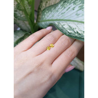 1.05&nbsp;Ct.Tw.Total Carat Weight Yellow Sapphire Pair from Ceylon (Sri Lanka) Life Style