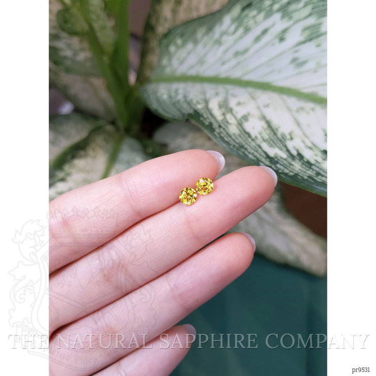 1.05 Ct.Tw. Yellow Sapphire Pair from Ceylon (Sri Lanka)