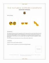 1.09&nbsp;Ct.Tw.Total Carat Weight Yellow Sapphire Pair from Ceylon (Sri Lanka) Appraisal