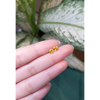 1.09&nbsp;Ct.Tw.Total Carat Weight Yellow Sapphire Pair from Ceylon (Sri Lanka) Life Style