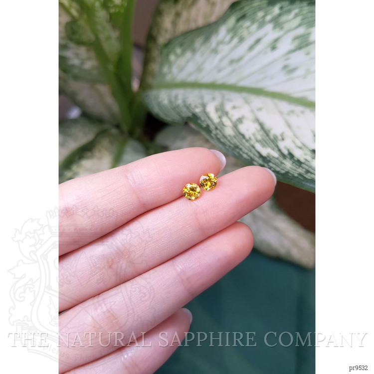 1.09 Ct.Tw. Yellow Sapphire Pair from Ceylon (Sri Lanka)