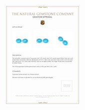 4.88 Ct.Tw.Total Carat Weight Cabochon Turquoise Pair from United States Appraisal