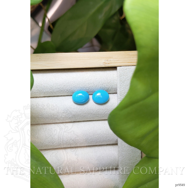 4.88 Ct.Tw. Cabochon Turquoise Pair from United States