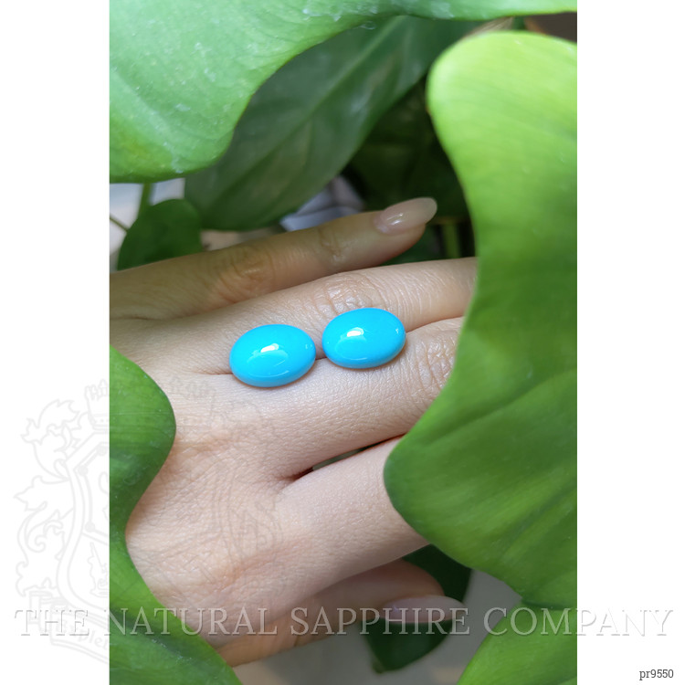 12.11 Ct.Tw. Cabochon Turquoise Pair from United States