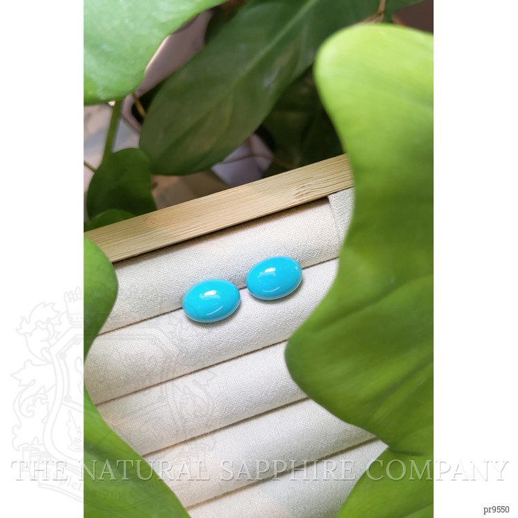 12.11 Ct.Tw. Cabochon Turquoise Pair from United States