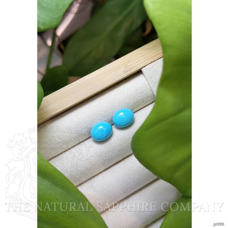 5.29 Ct.Tw. Cabochon Turquoise Pair from United States