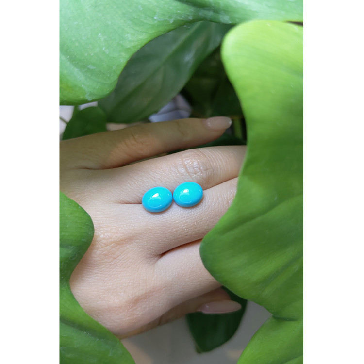 5.29 Ct.Tw. Cabochon Turquoise Pair from United States
