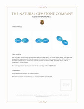 11.88 Ct.Tw.Total Carat Weight Cabochon Turquoise Pair from United States Appraisal