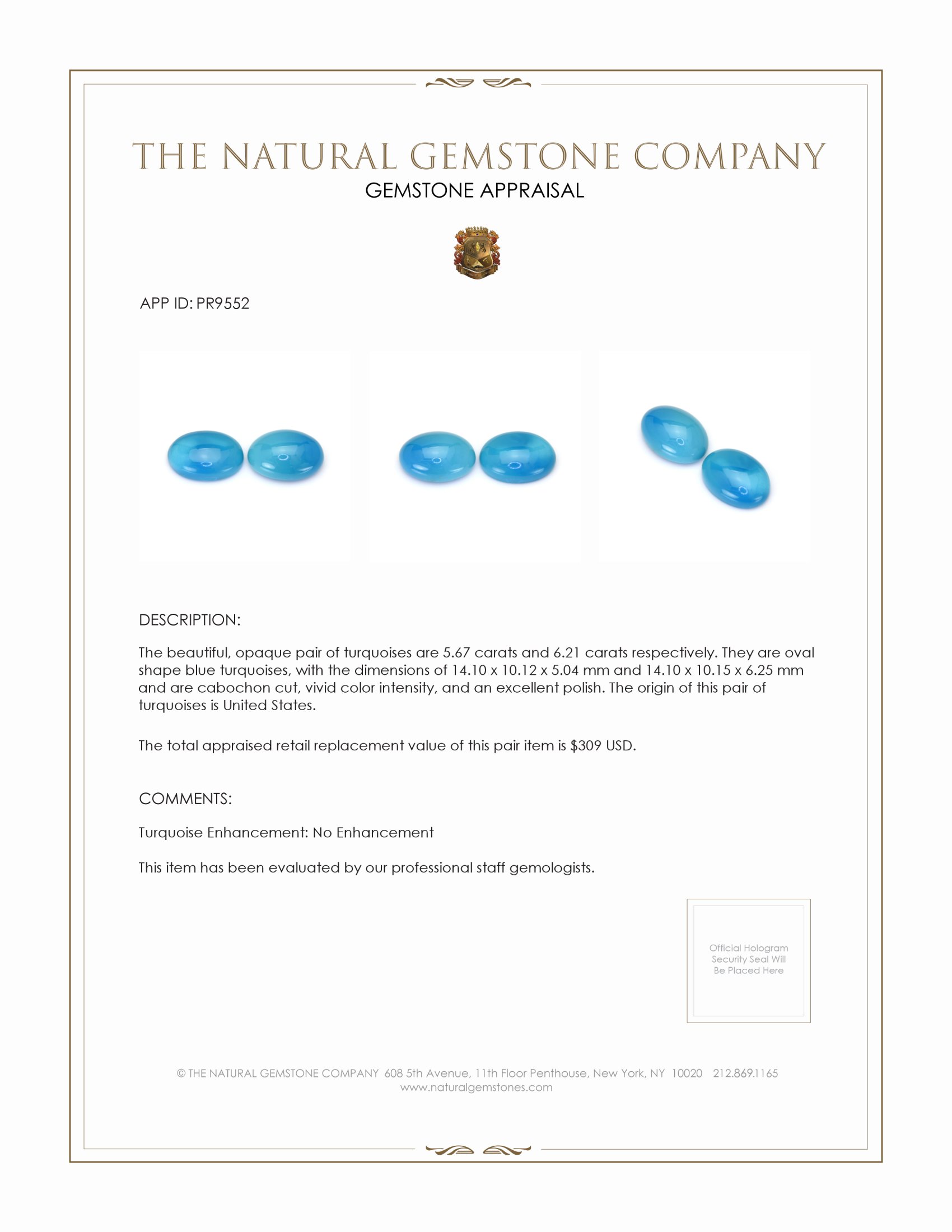 11.88 Ct.Tw. Cabochon Turquoise Pair from United States