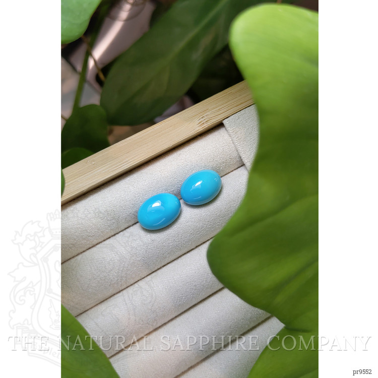 11.88 Ct.Tw. Cabochon Turquoise Pair from United States