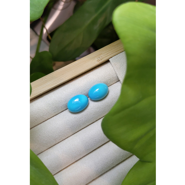 11.88 Ct.Tw. Cabochon Turquoise Pair from United States
