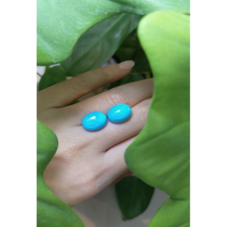 11.88 Ct.Tw. Cabochon Turquoise Pair from United States