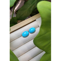 11.88 Ct.Tw.Total Carat Weight Cabochon Turquoise Pair from United States Life Style