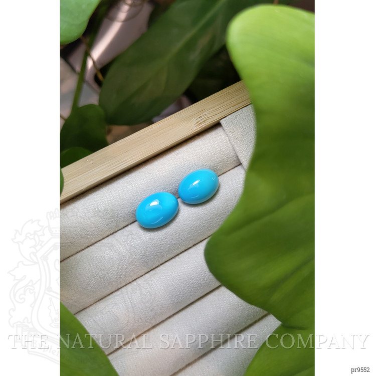 11.88 Ct.Tw. Cabochon Turquoise Pair from United States