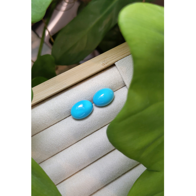 11.88 Ct.Tw. Cabochon Turquoise Pair from United States