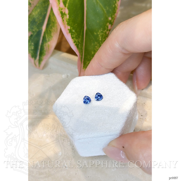 1.22 Ct.Tw. Blue Sapphire Pair from Ceylon (Sri Lanka)