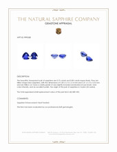 1.55 Ct.Tw.Total Carat Weight Blue Sapphire Pair from Ceylon (Sri Lanka) Appraisal