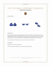 1.67 Ct.Tw.Total Carat Weight Blue Sapphire Pair from Ceylon (Sri Lanka) Appraisal