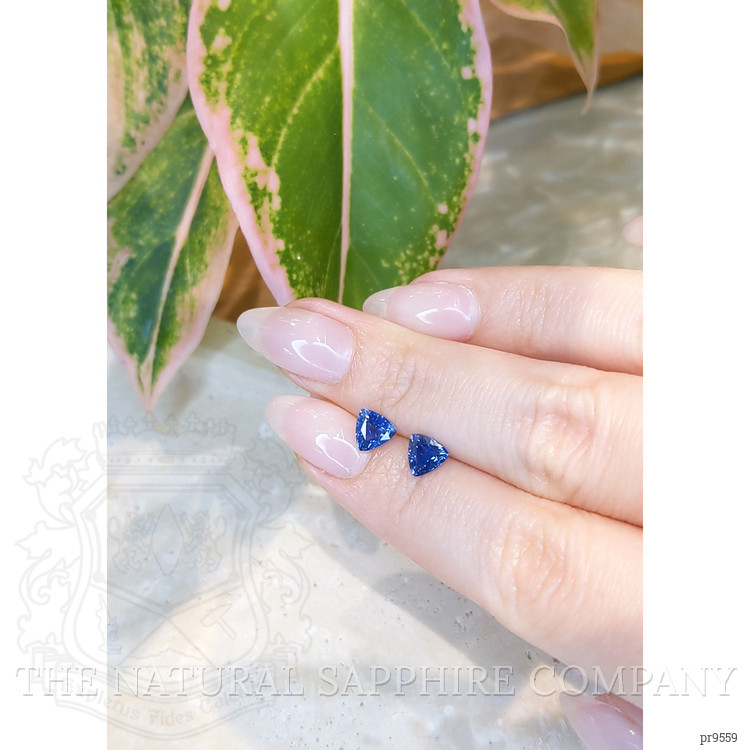 1.67 Ct.Tw. Blue Sapphire Pair from Ceylon (Sri Lanka)