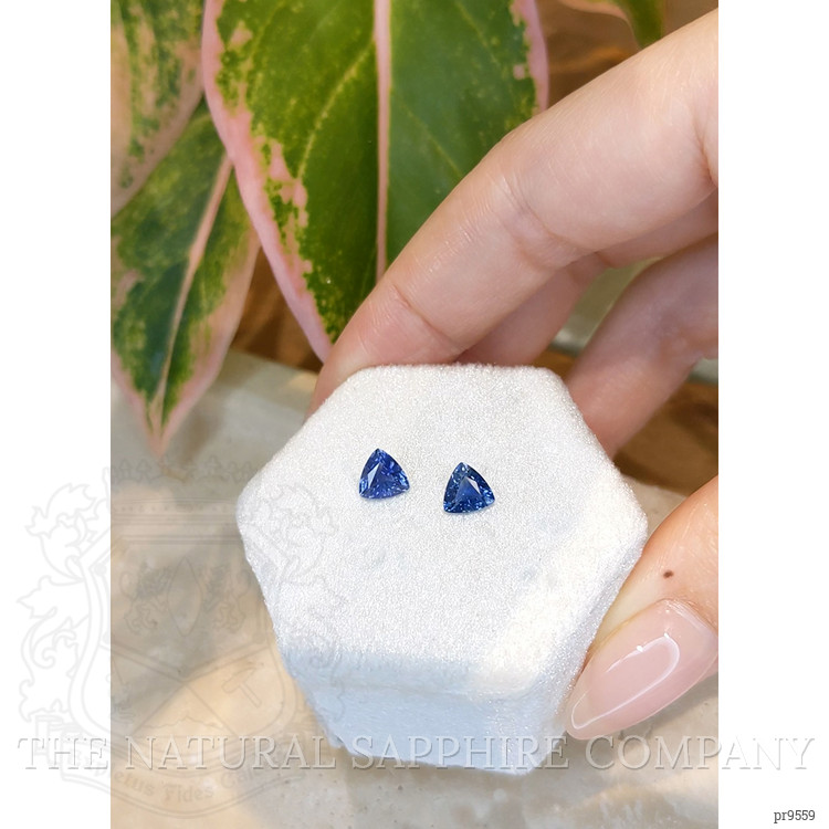 1.67 Ct.Tw. Blue Sapphire Pair from Ceylon (Sri Lanka)