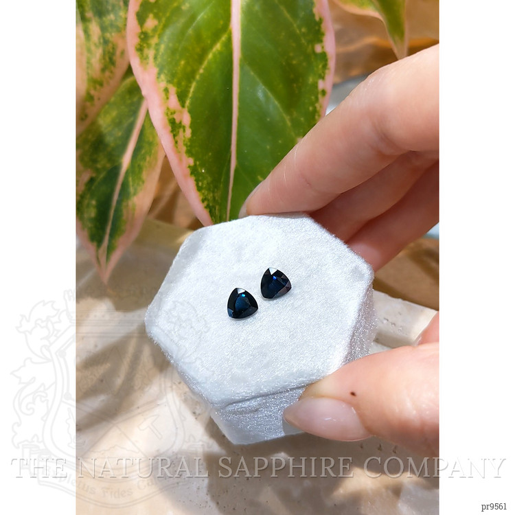 2.65 Ct.Tw. Blue Sapphire Pair from Ceylon (Sri Lanka)