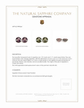 3.26 Ct.Tw.Total Carat Weight Color Change Sapphire Pair from Ceylon (Sri Lanka) Appraisal