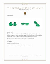 1.56 Ct.Tw.Total Carat Weight Emerald Pair from Zambia Appraisal
