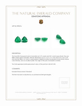 1.56 Ct.Tw.Total Carat Weight Emerald Pair from Zambia Appraisal