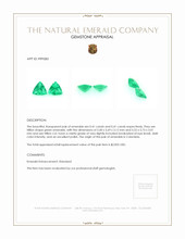 0.82 Ct.Tw.Total Carat Weight Emerald Pair from Colombia Appraisal