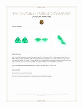 0.82 Ct.Tw.Total Carat Weight Emerald Pair from Colombia Appraisal